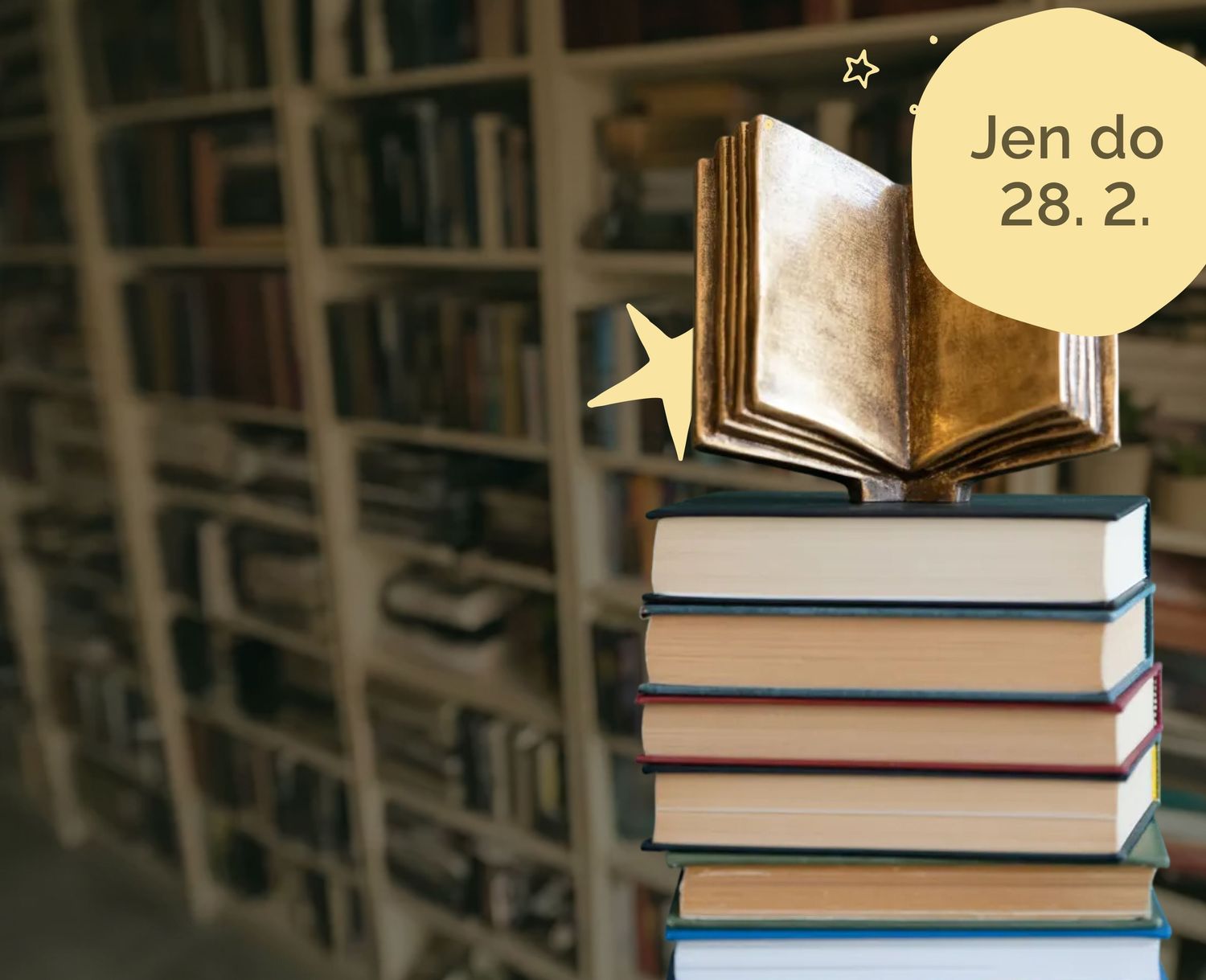 Rozhodni o vítězi Knihobot literárního grantu