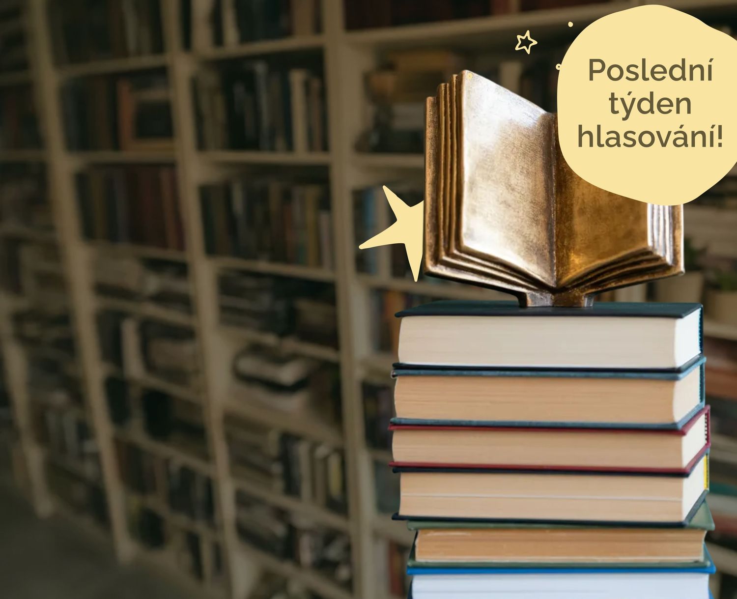 Rozhodni o vítězi Knihobot literárního grantu