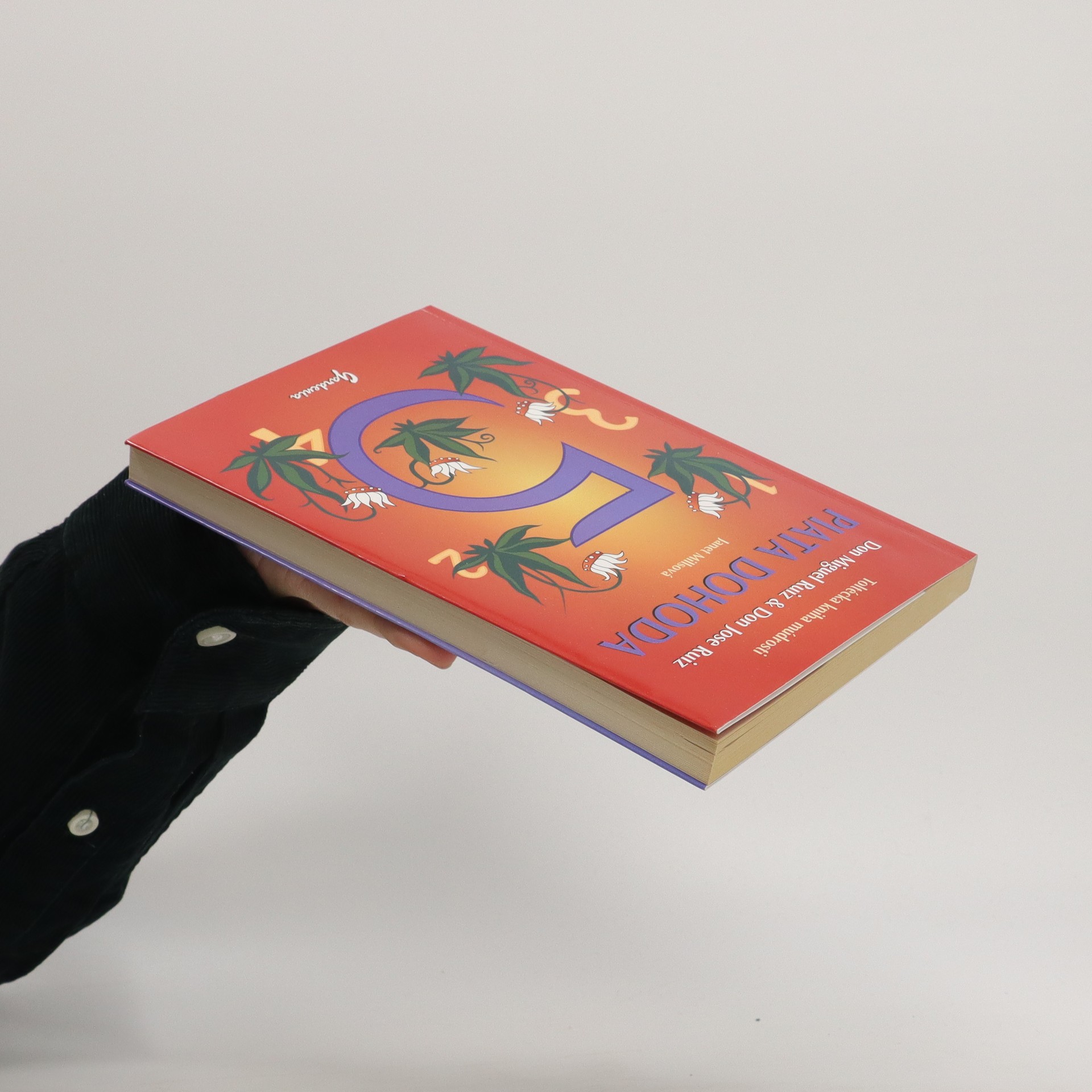 Piata dohoda Ruiz, Miguel Don / Ruiz Jose Don knihobot.cz