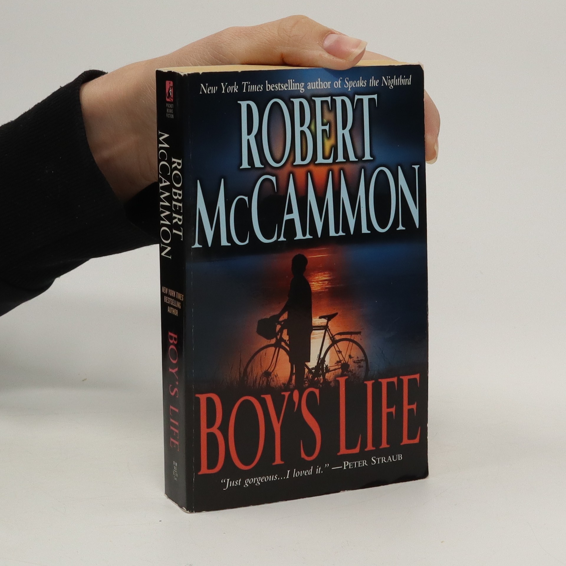 Boy's Life McCammon, Robert knihobot.cz