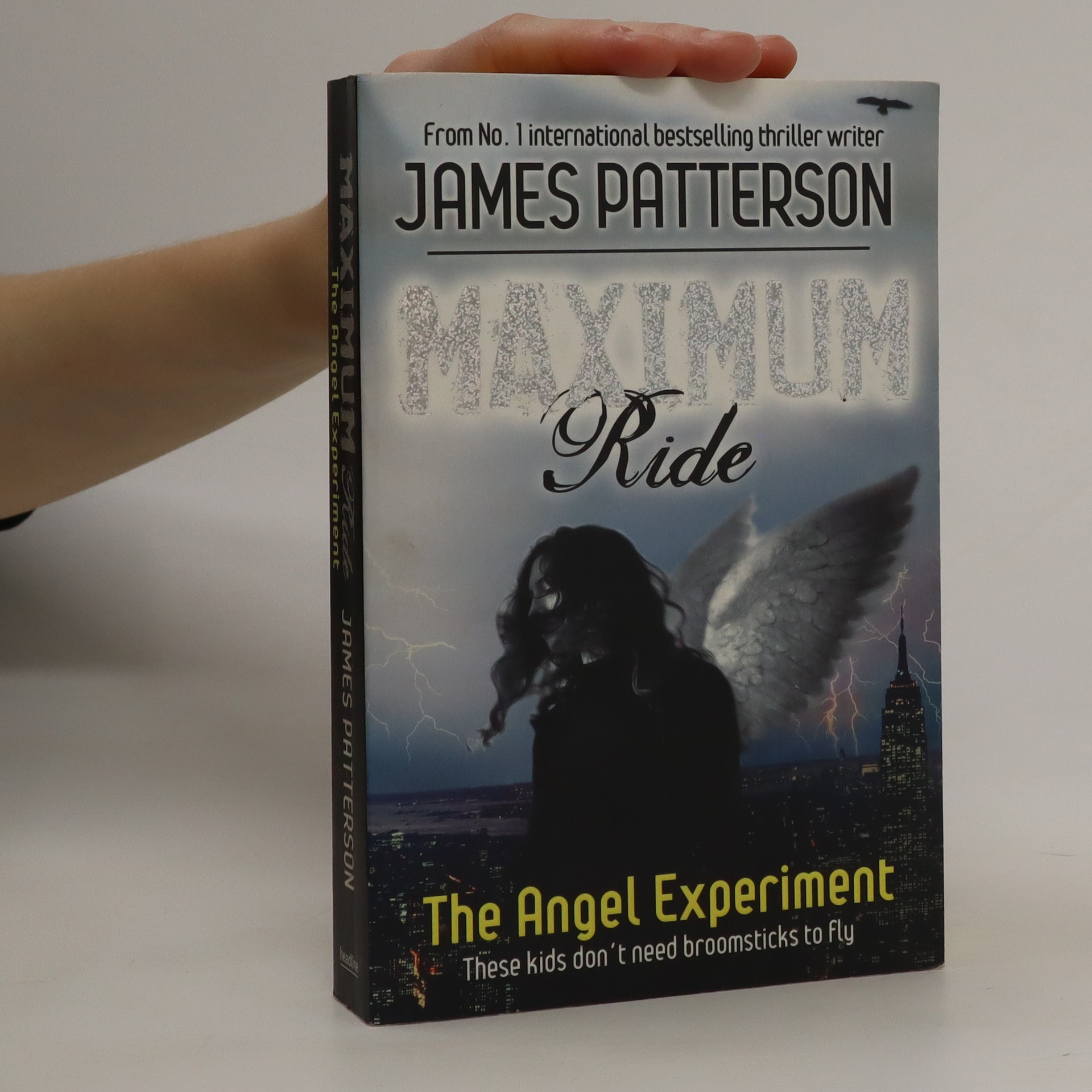 maximum ride the angel experiment synopsis