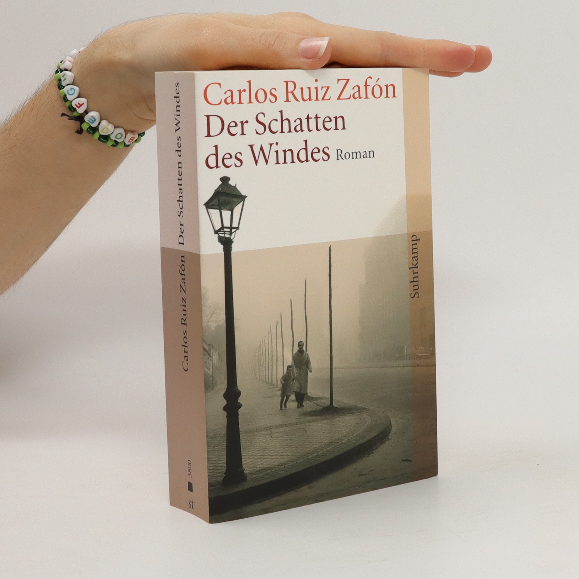 Der Schatten des Windes Zafón, Carlos Ruiz knihobot.cz