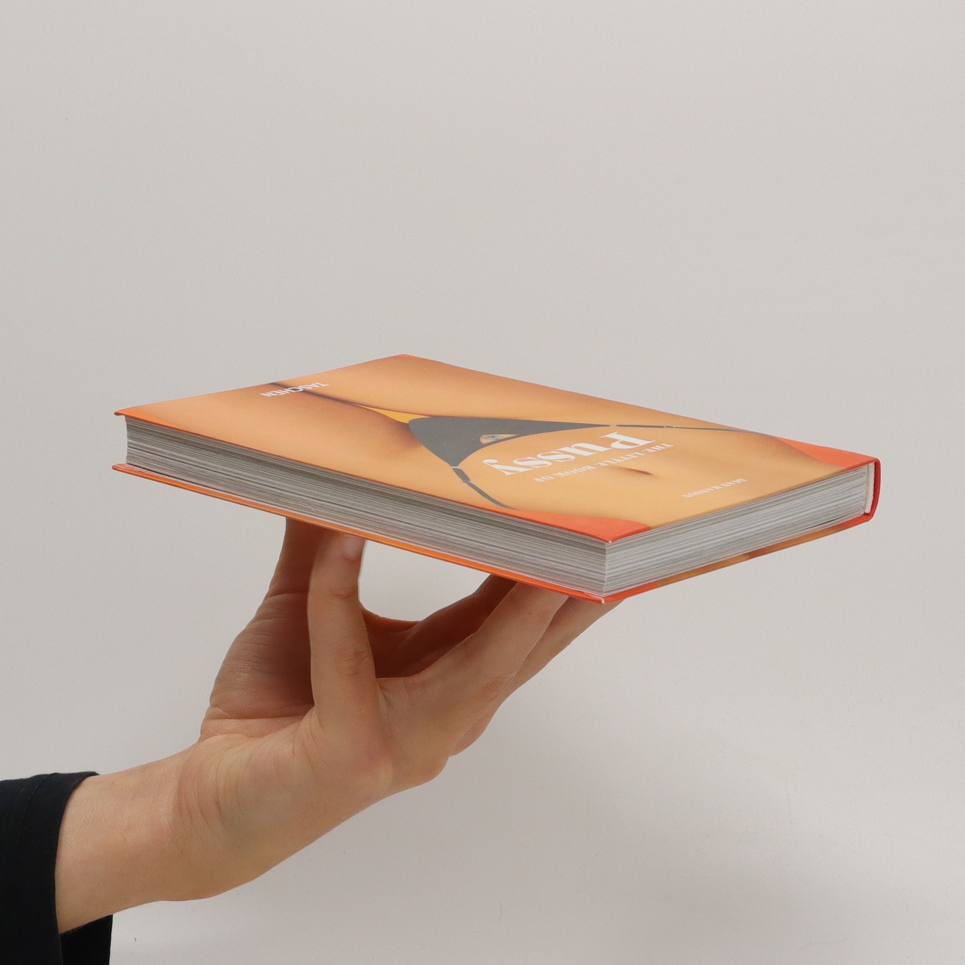 The Little Book of Pussy Hanson, Dian knihobot.cz The Little Book of Pussy Hanson, Dian knihobot.cz