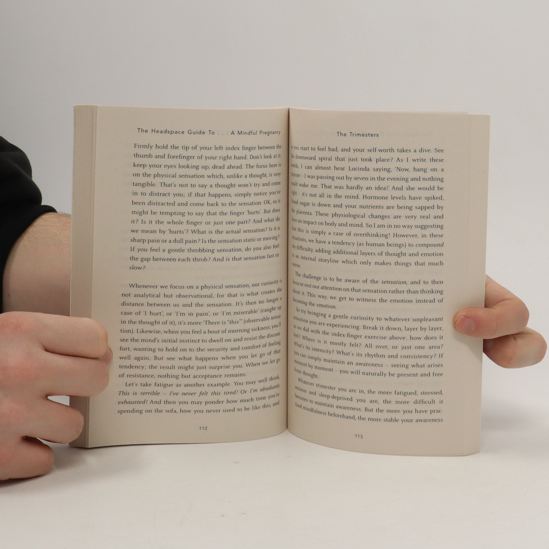 The headspace guide to a mindful pregnancy Andy knihobot.cz