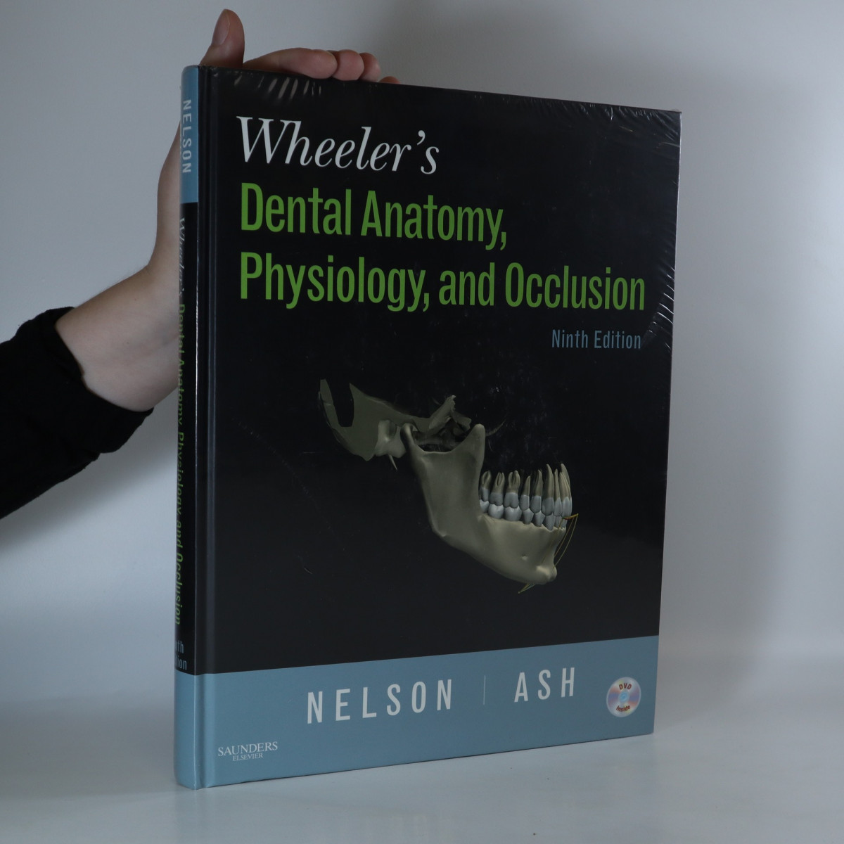 wheeler-s-dental-anatomy-physiology-and-occlusion-nelson-stanley-j