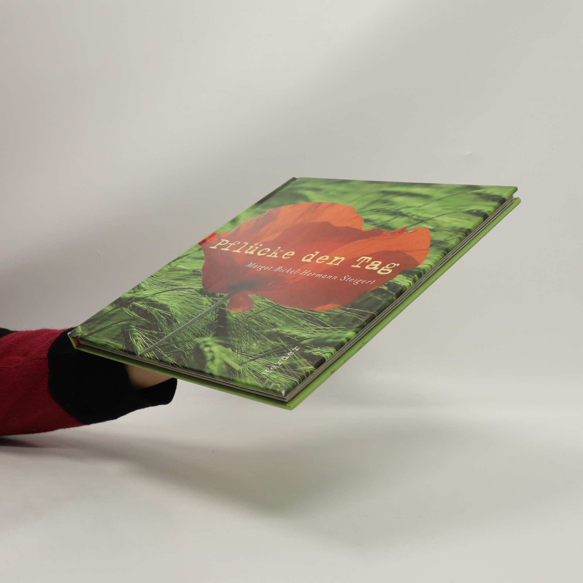 Pflücke den Tag - Bickel, Margot - knihobot.sk