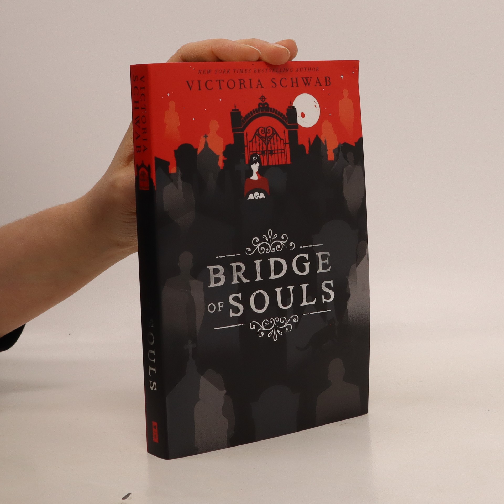 Bridge of Souls Schwab, Victoria knihobot.cz