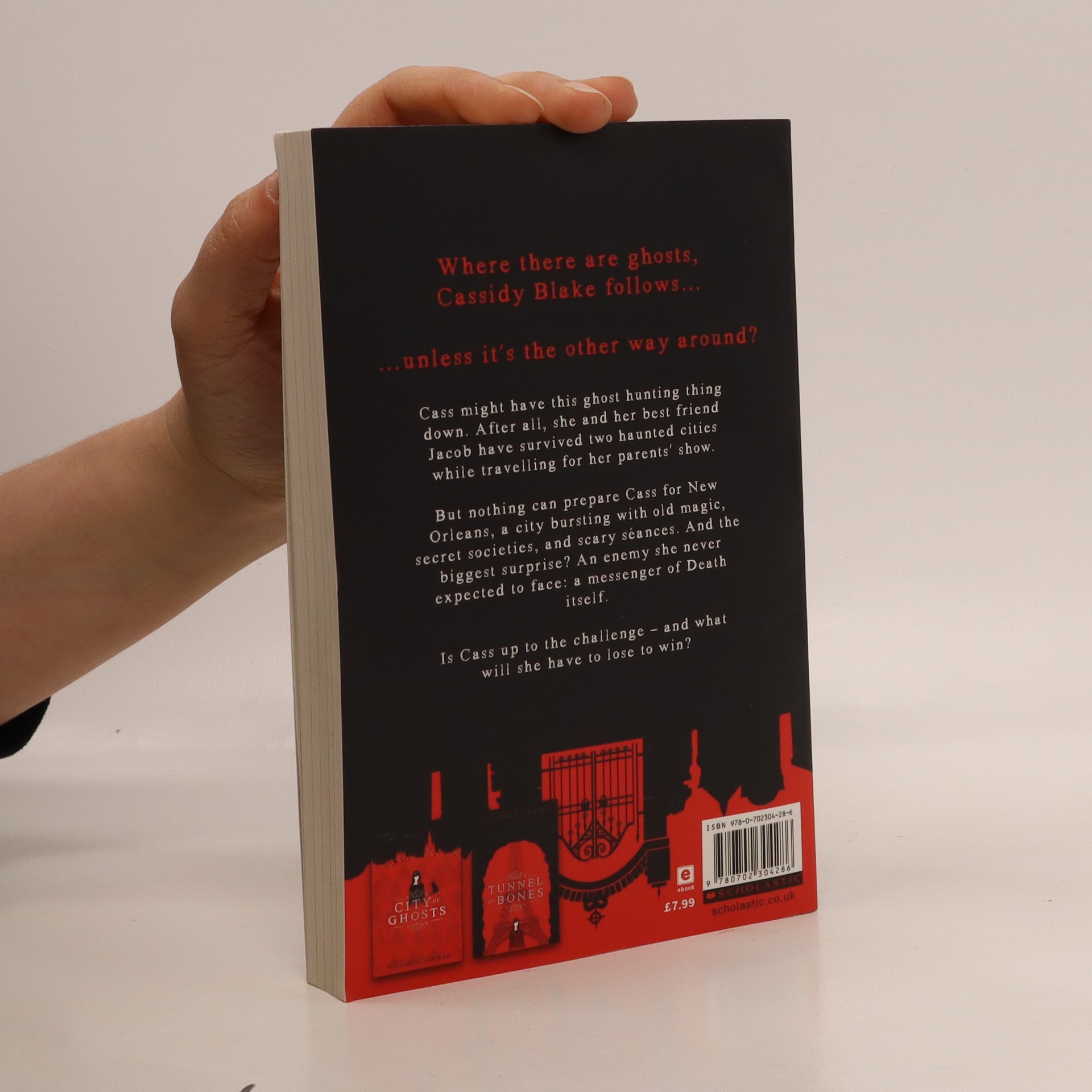 Bridge of Souls Schwab, Victoria knihobot.sk