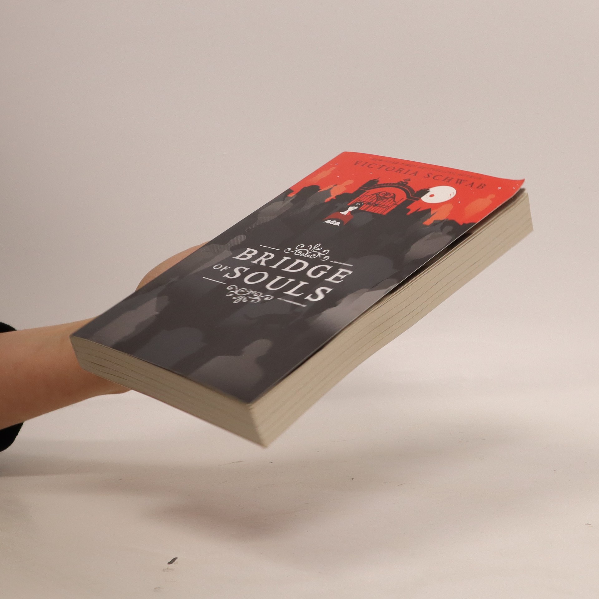 Bridge of Souls Schwab, Victoria knihobot.cz