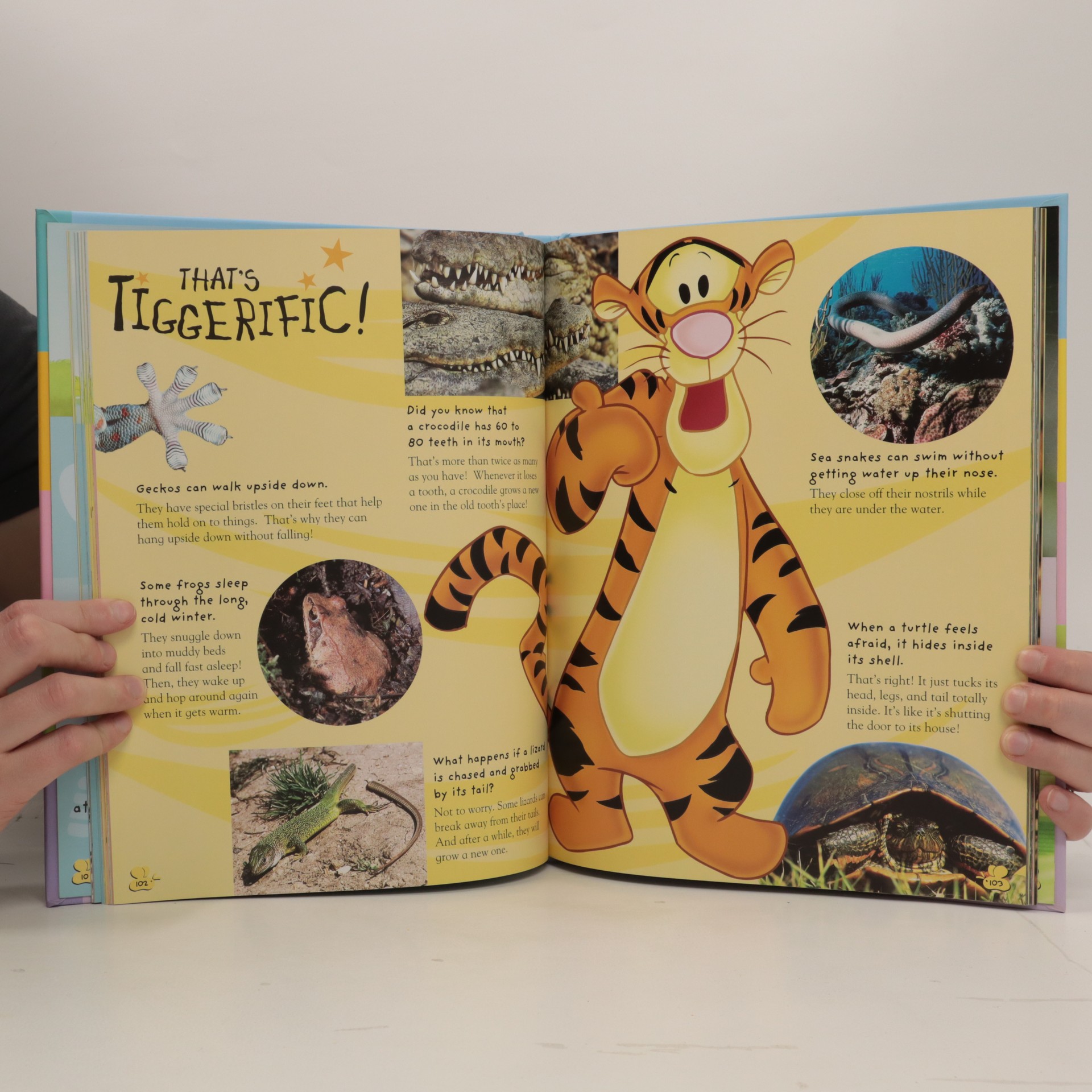 My Very First Encyclopedia With Winnie The Pooh And Friends Pooh Winnie Knihobot Cz