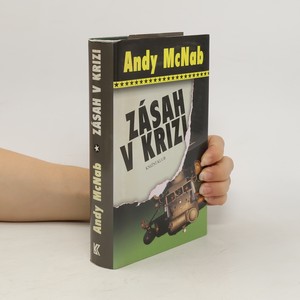 náhled knihy - Zásah v krizi